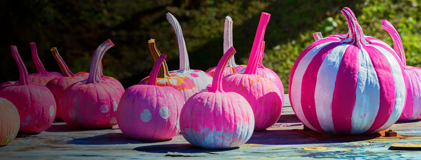 Pumpkins Are Recommended For Breast Cancer