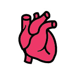 Cardiology