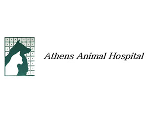 Athens Animal Hospital 