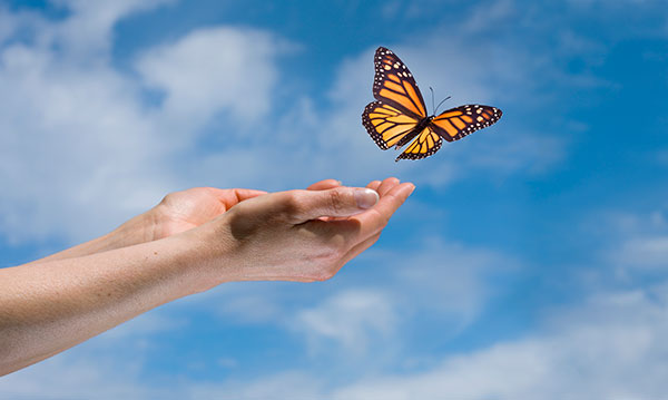 memorial butterfly release        
        <figure class=