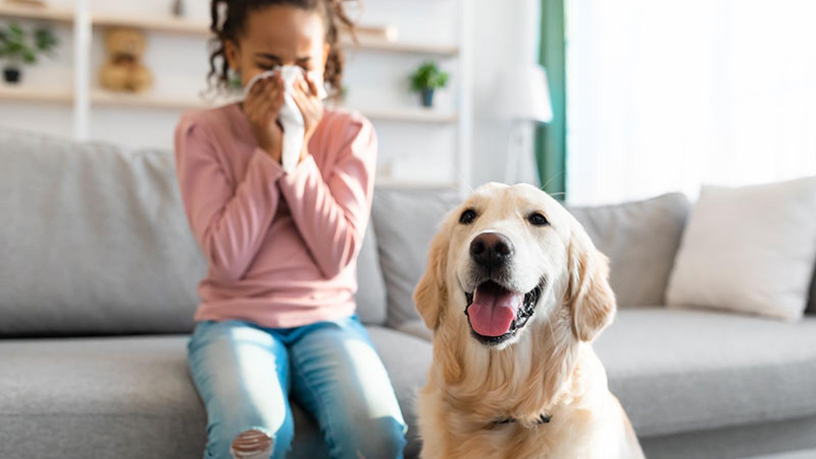 7 Tips To Allergy-Proof Your Home | Guthrie